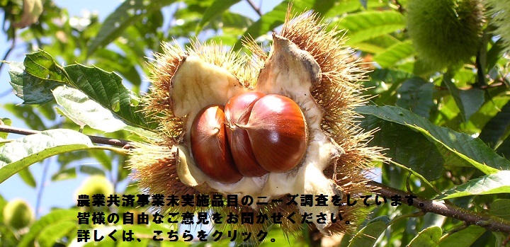 NOSAIトップページ イメージ写真